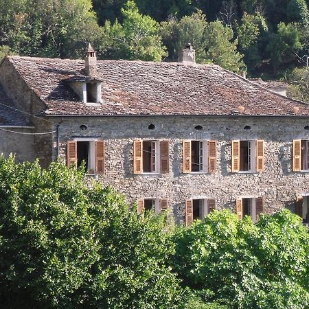 Chambre D'Hotes La Marlotte Castello-di-Rostino Экстерьер фото